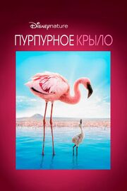 Пурпурное крыло - лучший фильм в фильмографии The Cinematic Orchestra