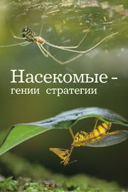 Насекомые — гении стратегии - лучший фильм в фильмографии Со Джон