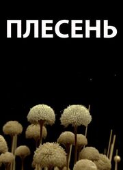 Плесень - лучший фильм в фильмографии Павел Терёхин