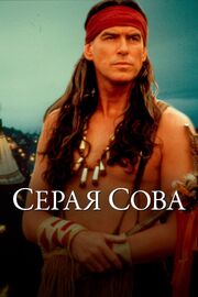 Серая сова из фильмографии Джэйк Эбертс в главной роли.