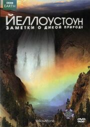 Йеллоустоун: Заметки о дикой природе - лучший фильм в фильмографии Эндрю Мюррэй