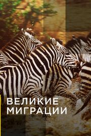 Великие миграции - лучший фильм в фильмографии John Benam