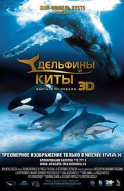 Дельфины и киты 3D - лучший фильм в фильмографии Джон Майкл Джонсон