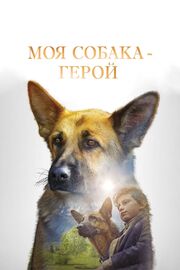 Моя собака — герой - лучший фильм в фильмографии Элиза Содро