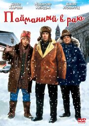 Пойманный в раю из фильмографии Эндрю Миллер в главной роли.