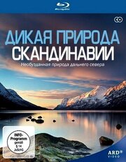 Дикая природа Скандинавии - лучший фильм в фильмографии Gabriele Conze