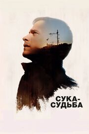 Сука-судьба - лучший фильм в фильмографии Джоан Шемла