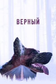 Верный - лучший фильм в фильмографии Елена Никитина