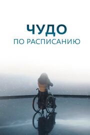 Чудо по расписанию из фильмографии Александр Ткаченко в главной роли.