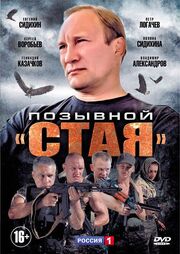 Позывной «Стая» из фильмографии Илья Огнев в главной роли.