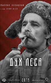 Дух леса из фильмографии Анна Мещерякова в главной роли.