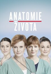 Anatomie života из фильмографии Кристина Малерова в главной роли.