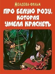 Про белую розу, которая умела краснеть из фильмографии Константин Балан в главной роли.