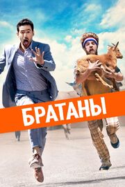 Братаны - лучший фильм в фильмографии Джордан Сигел