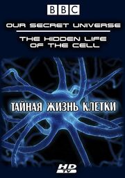 Внутренняя вселенная: Тайная жизнь клетки - лучший фильм в фильмографии Адам Розенталь