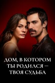 Дом, в котором ты родился – твоя судьба из фильмографии Хакан Салынмыш в главной роли.