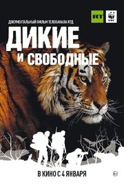 Дикие и свободные из фильмографии Наталия Карачкова в главной роли.