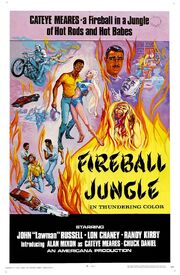 Fireball Jungle из фильмографии Джозеф П. Маура в главной роли.