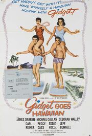 Gidget Goes Hawaiian - лучший фильм в фильмографии Руди Польт