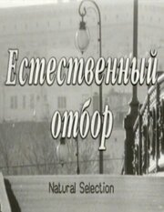 Естественный отбор - лучший фильм в фильмографии Андрей Железняков