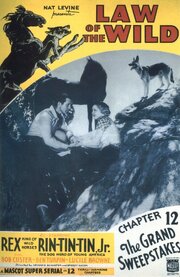 Закон дикой природы - лучший фильм в фильмографии Charles Kurtsinger