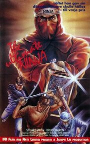 The Ultimate Ninja из фильмографии Брюс Барон в главной роли.