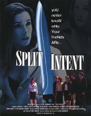 Split Intent из фильмографии Элизабет Дж. Мартин в главной роли.