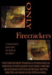 Only Firecrackers из фильмографии Роби Майкл в главной роли.