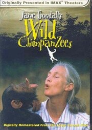 Jane Goodall's Wild Chimpanzees - лучший фильм в фильмографии Майк Дэй