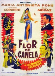 Flor de canela - лучший фильм в фильмографии María Elena Orendaín