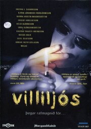 Villiljós - лучший фильм в фильмографии Йон Йонссон