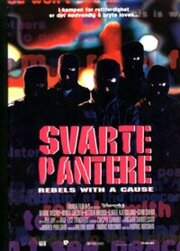 Svarte pantere - лучший фильм в фильмографии Anneli Drecker