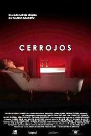 Cerrojos - лучший фильм в фильмографии Педро Уолкер