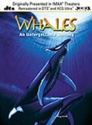 Whales: An Unforgettable Journey из фильмографии Моз Ричардс в главной роли.