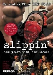 Slippin': Ten Years with the Bloods - лучший фильм в фильмографии Хоаким Шредер