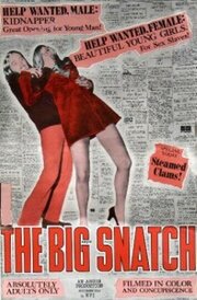 The Big Snatch - лучший фильм в фильмографии Tracy Handfuss