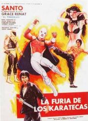 La furia de los karatecas