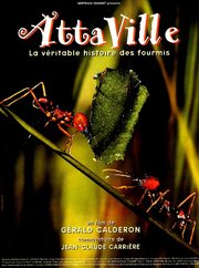 Attaville, la véritable histoire des fourmis - лучший фильм в фильмографии Эрик Майер