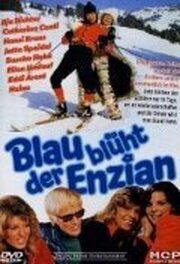 Blau blüht der Enzian - лучший фильм в фильмографии Гритт Кастелл