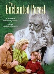 The Enchanted Forest из фильмографии Гарри Девенпорт в главной роли.