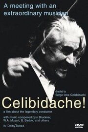 Celibidache - лучший фильм в фильмографии Sergiu Celibidache