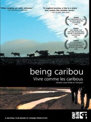 Being Caribou из фильмографии Дженис Браун в главной роли.