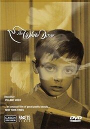 The White Dove - лучший фильм в фильмографии Херберт Гринвуд