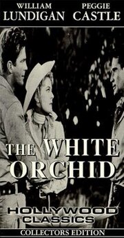 The White Orchid из фильмографии Армандо Сильвестре в главной роли.