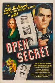 Open Secret - лучший фильм в фильмографии Фрэнк Саненстейн