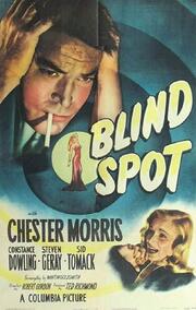 Blind Spot из фильмографии Роберт Хартфорд в главной роли.