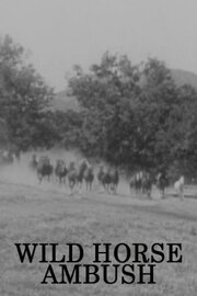 Wild Horse Ambush из фильмографии Drake Smith в главной роли.