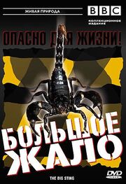 BBC: Большое жало - лучший фильм в фильмографии Vyv Simson