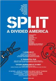 Split: A Divided America из фильмографии Эл Фрэнкен в главной роли.