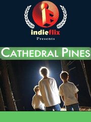 Cathedral Pines из фильмографии Дэвид Хорган в главной роли.